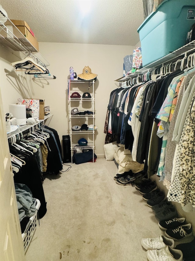 walk in closet with carpet floors