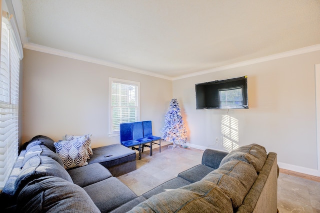 living room featuring crown molding