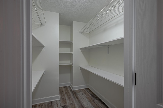 walk in closet with dark hardwood / wood-style floors