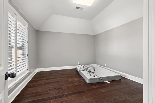 interior space featuring a raised ceiling, lofted ceiling, and dark wood-type flooring