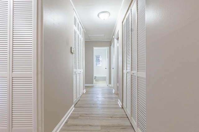 corridor with light hardwood / wood-style flooring and ornamental molding