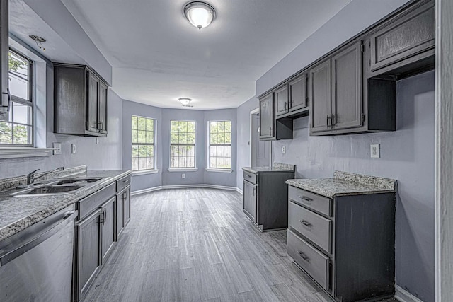 kitchen featuring stainless steel dishwasher, sink, and light hardwood / wood-style flooring