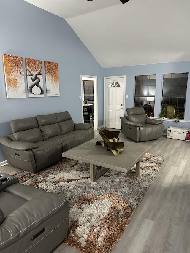 living room with hardwood / wood-style floors and lofted ceiling