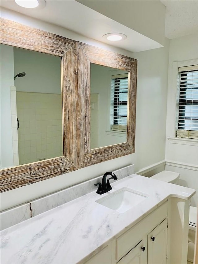 bathroom with vanity, toilet, and walk in shower