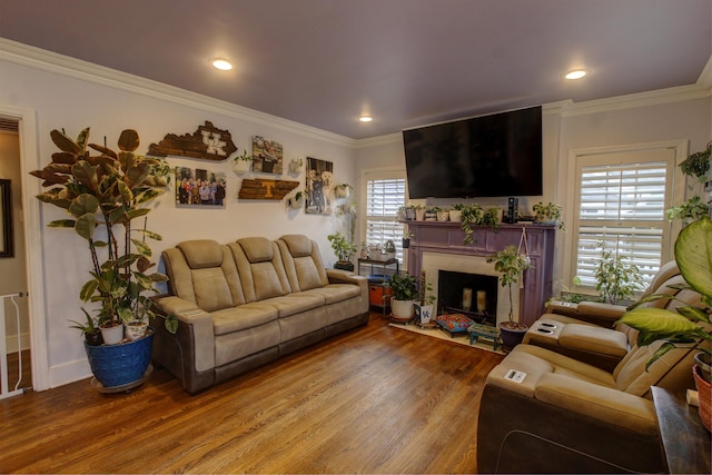 living room with hardwood / wood-style floors and crown molding