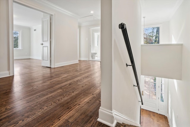 interior space featuring hardwood / wood-style floors and crown molding