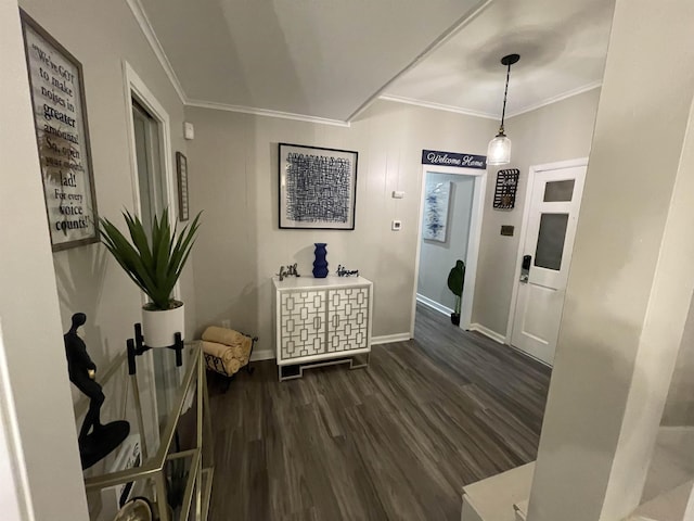 corridor with crown molding and dark hardwood / wood-style flooring