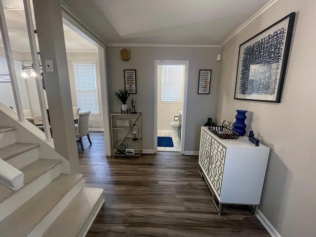 entryway with dark hardwood / wood-style floors, a healthy amount of sunlight, and ornamental molding