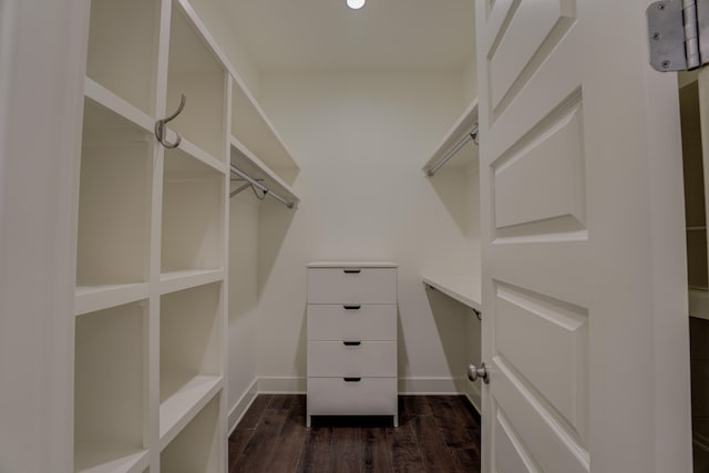 spacious closet featuring dark wood-type flooring