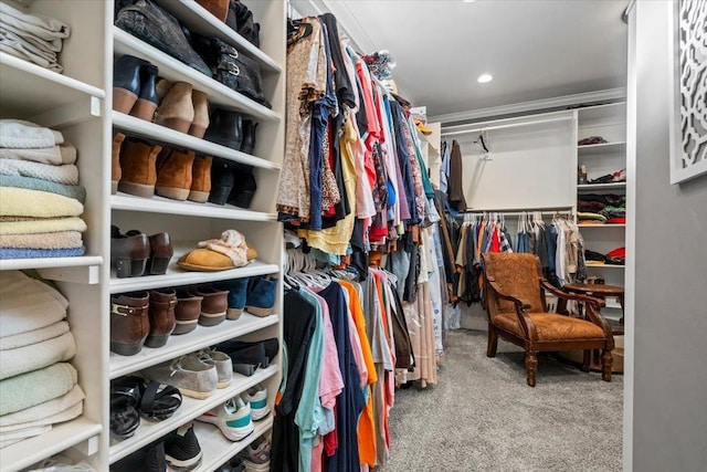 walk in closet featuring light carpet