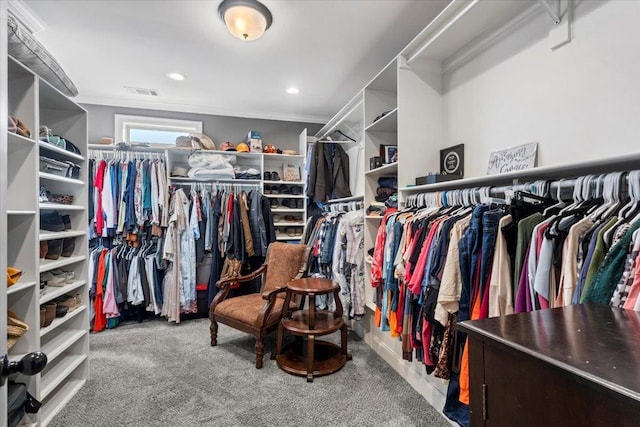 spacious closet with light carpet