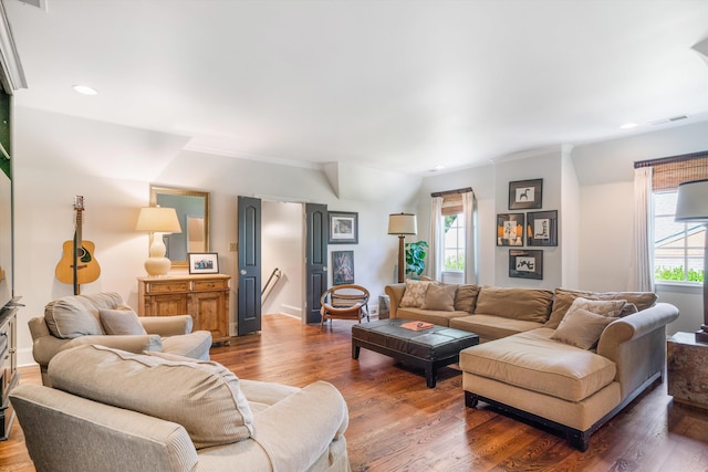 living room featuring a wealth of natural light and dark hardwood / wood-style floors