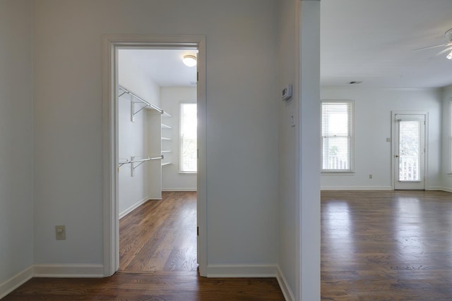 corridor with a healthy amount of sunlight, dark hardwood / wood-style flooring, and crown molding