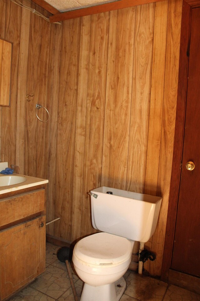 bathroom with wooden walls, vanity, and toilet