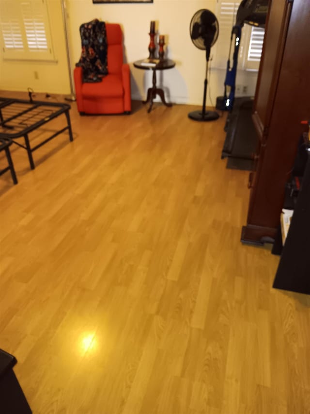 exercise room featuring light hardwood / wood-style floors