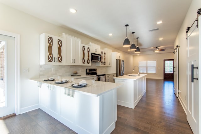 kitchen with hanging light fixtures, a barn door, kitchen peninsula, a kitchen island, and appliances with stainless steel finishes