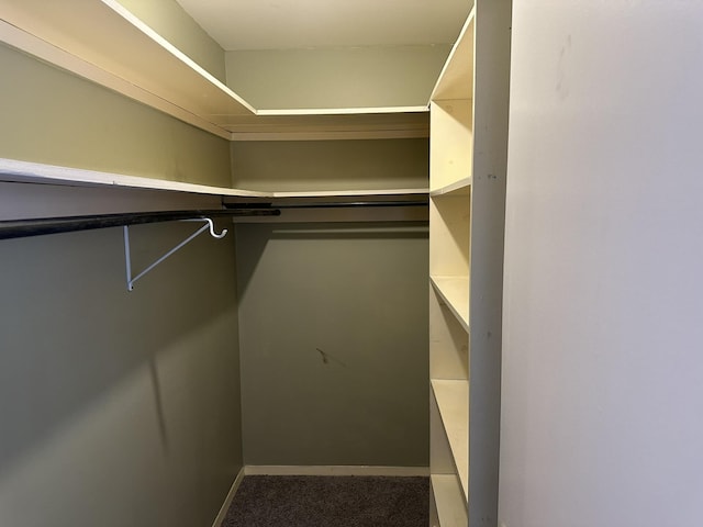 spacious closet featuring carpet floors