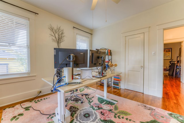 office featuring ceiling fan, wood-type flooring, and crown molding