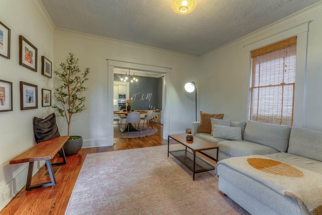 living room featuring a chandelier, hardwood / wood-style floors, a textured ceiling, and crown molding