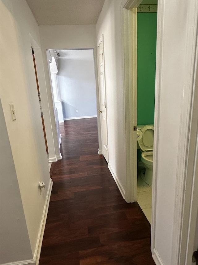 hallway with dark hardwood / wood-style flooring