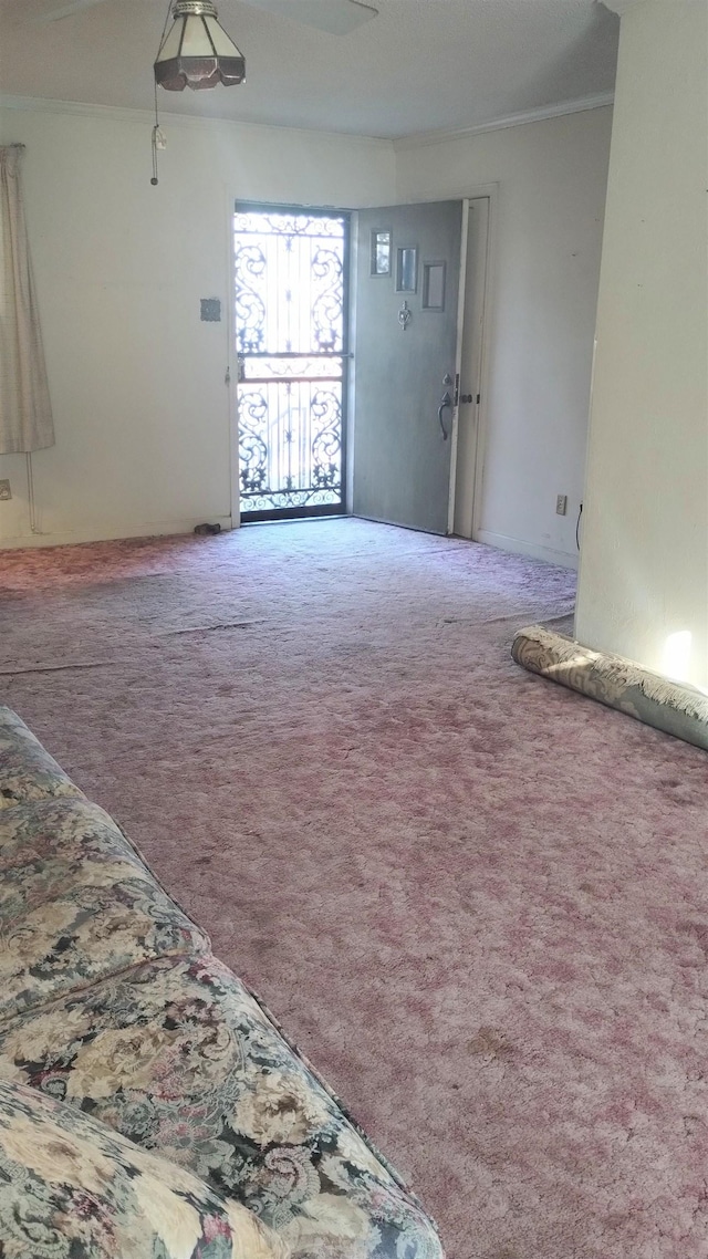 empty room with carpet floors and crown molding