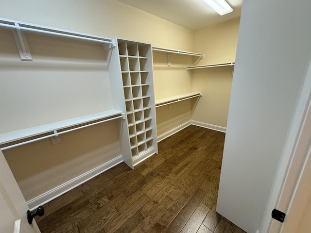 walk in closet with dark wood-type flooring