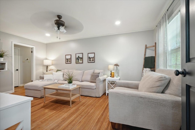 living room featuring ceiling fan, crown molding, and light hardwood / wood-style flooring