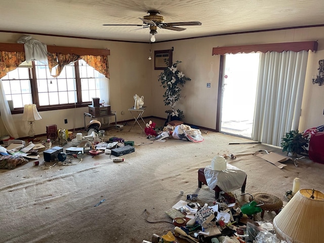 interior space featuring a wall unit AC, ceiling fan, plenty of natural light, and carpet