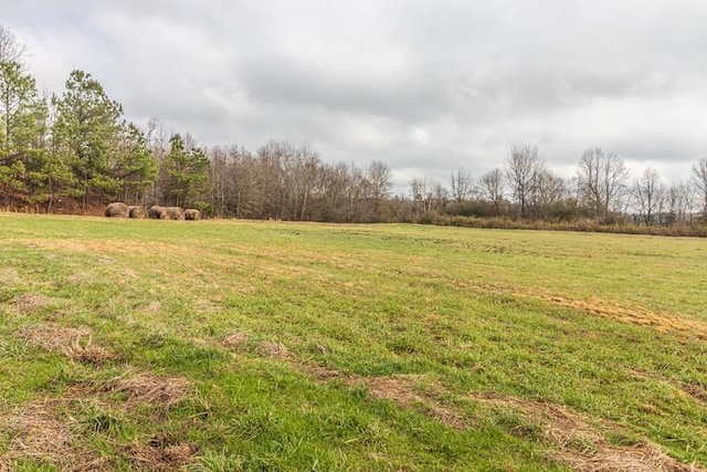 view of yard with a rural view