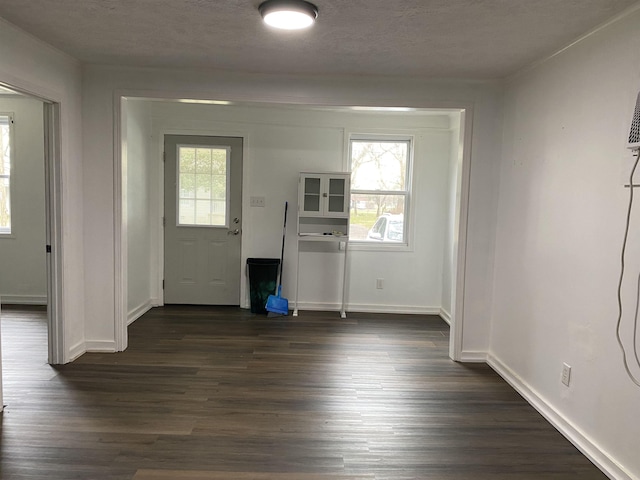 foyer entrance featuring dark hardwood / wood-style floors