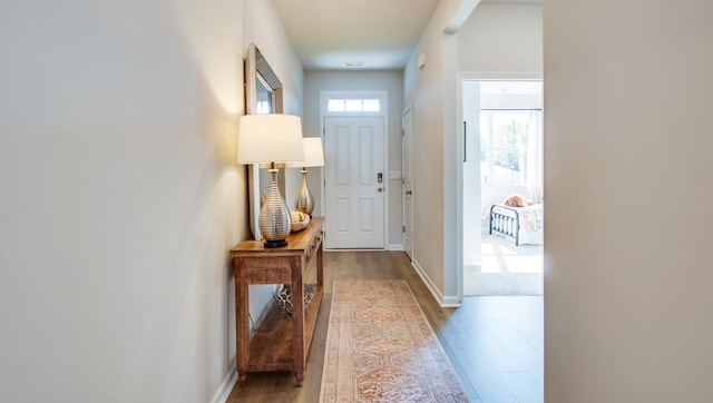 entryway with hardwood / wood-style flooring