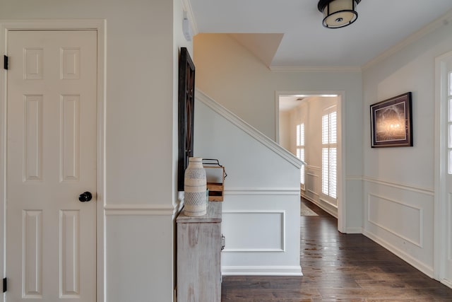 foyer with dark hardwood / wood-style flooring and ornamental molding