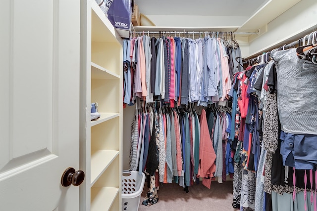 walk in closet with carpet