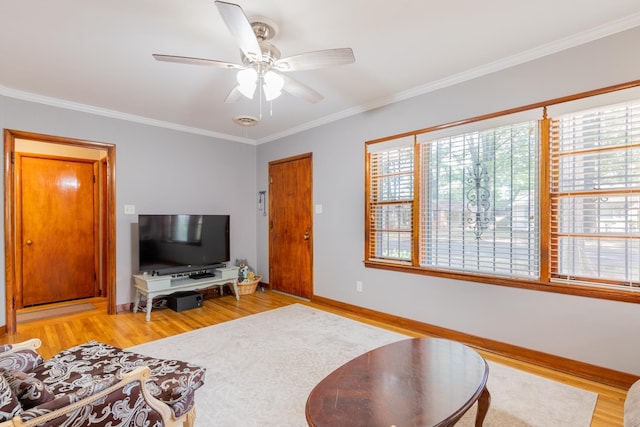 living room with ceiling fan, light hardwood / wood-style flooring, and ornamental molding