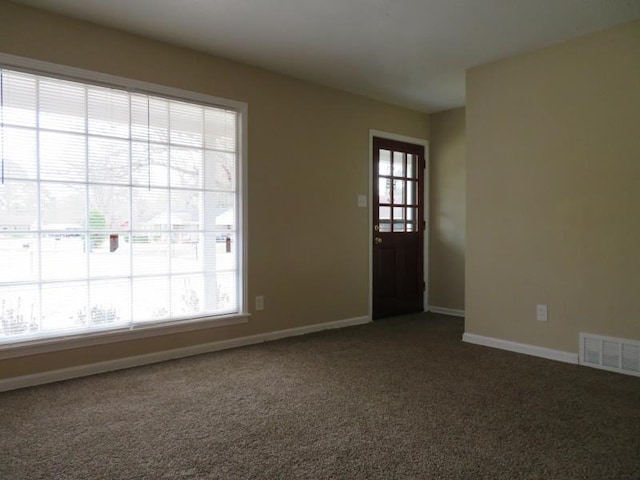 carpeted entryway featuring plenty of natural light