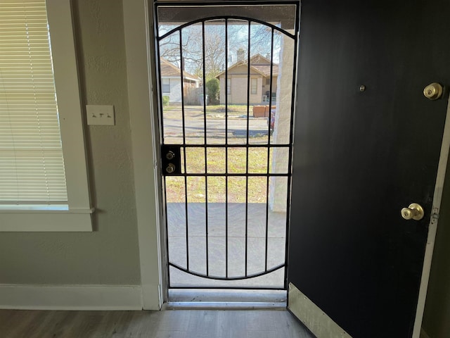 doorway featuring wood-type flooring