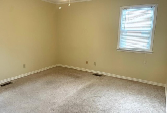 spare room featuring carpet floors and crown molding