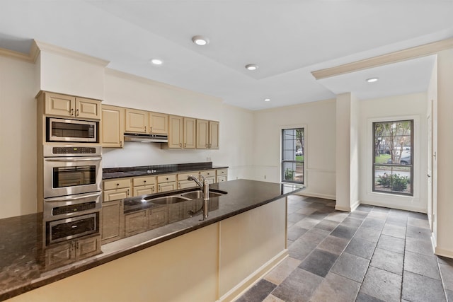 kitchen featuring appliances with stainless steel finishes, ornamental molding, dark stone counters, and sink