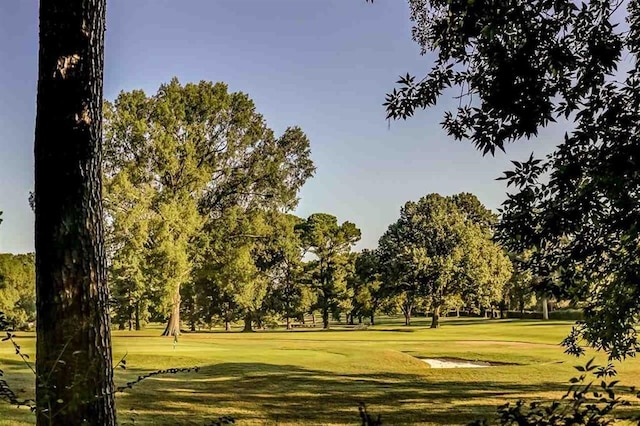 view of home's community with a yard