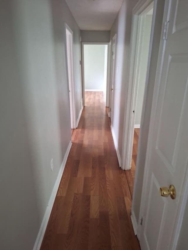 corridor with dark hardwood / wood-style floors