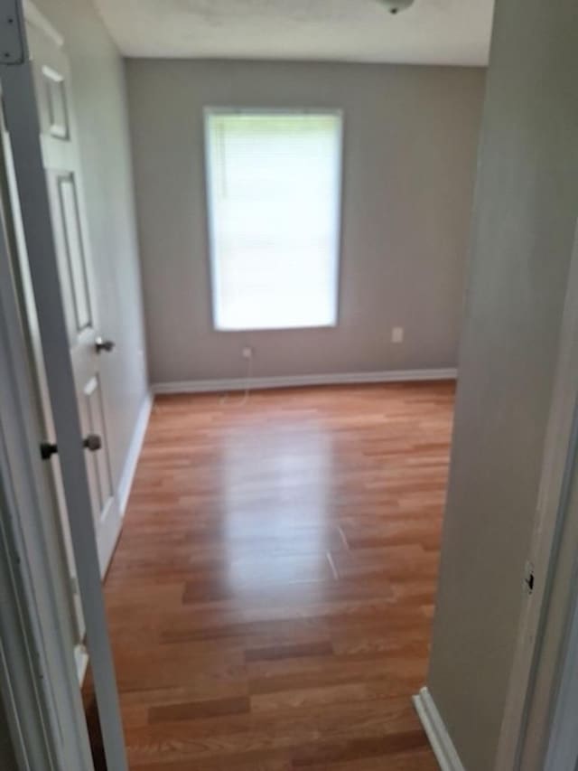 unfurnished room with light wood-type flooring