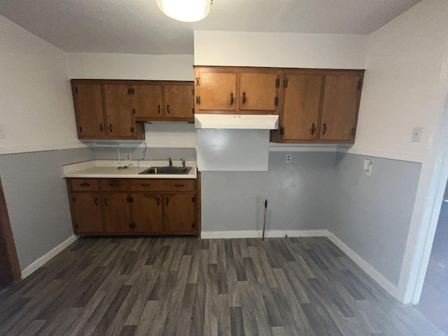 kitchen featuring sink and dark wood-type flooring