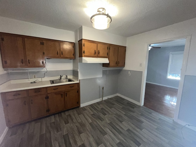 kitchen featuring sink, dark hardwood / wood-style flooring, a textured ceiling, and ceiling fan