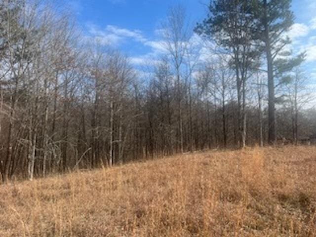 00 Red Banks Rd, Byhalia MS, 38611 land for sale