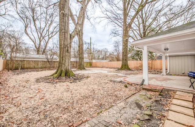 view of yard with a patio