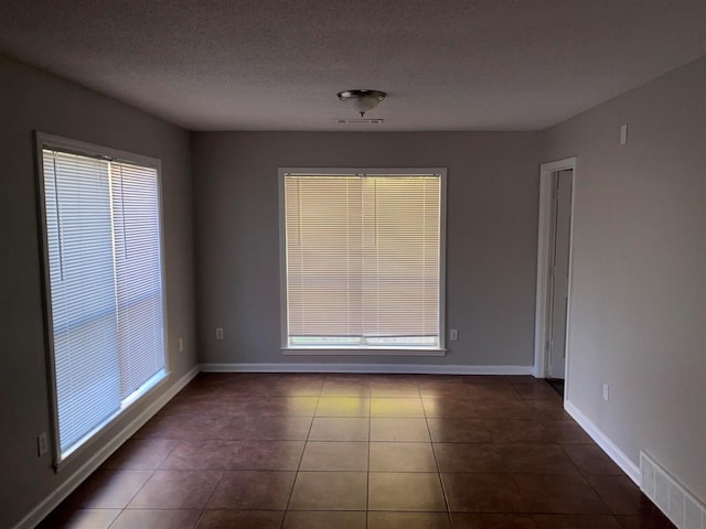 empty room featuring plenty of natural light, dark tile patterned flooring, and a textured ceiling