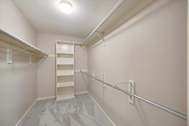 spacious closet featuring light carpet