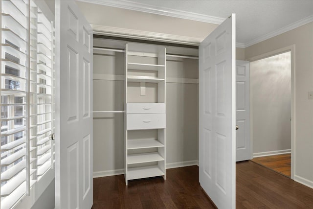 view of closet