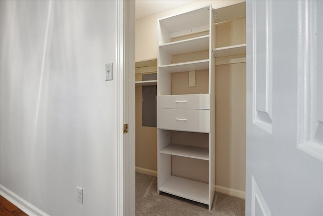 view of closet