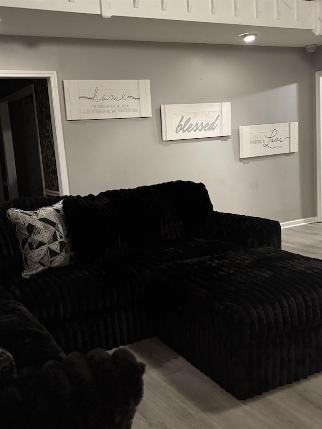 living room featuring wood-type flooring